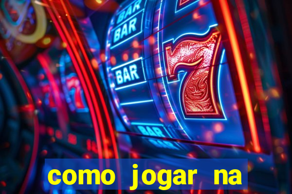 como jogar na lotinha do jogo do bicho